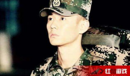 宣言演过的电视剧