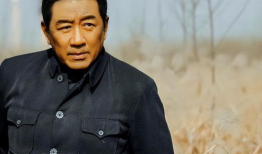 丁勇岱电视剧,电视剧中的硬汉传奇